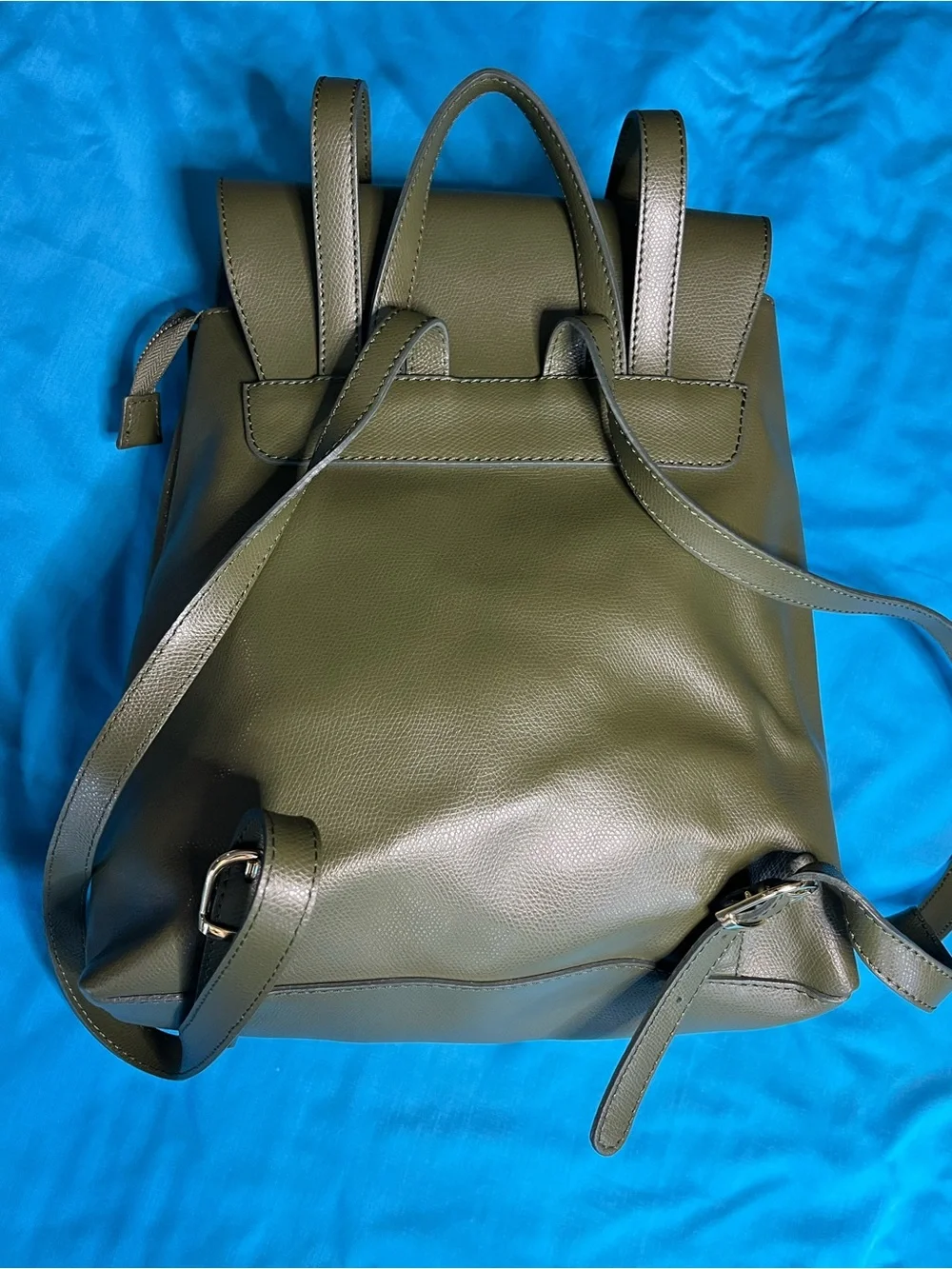 Sofia Cardoni Olive Green Backpack Gold Hardware Faux Leather Purse